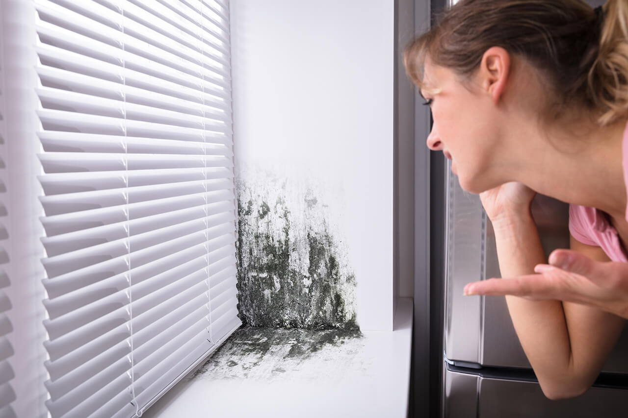 myths about mold